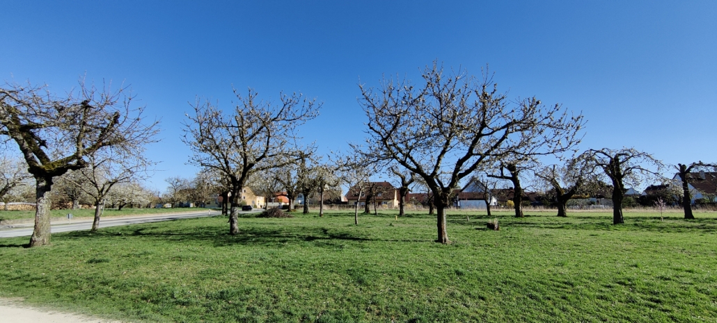 Aktuelles Foto vom 06.04.2025