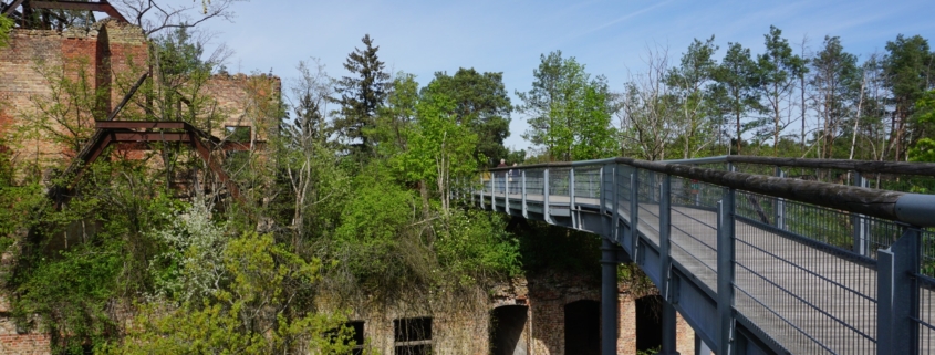 Baumkronenpfad Beelitz Heilstaetten ueber die Ruinen