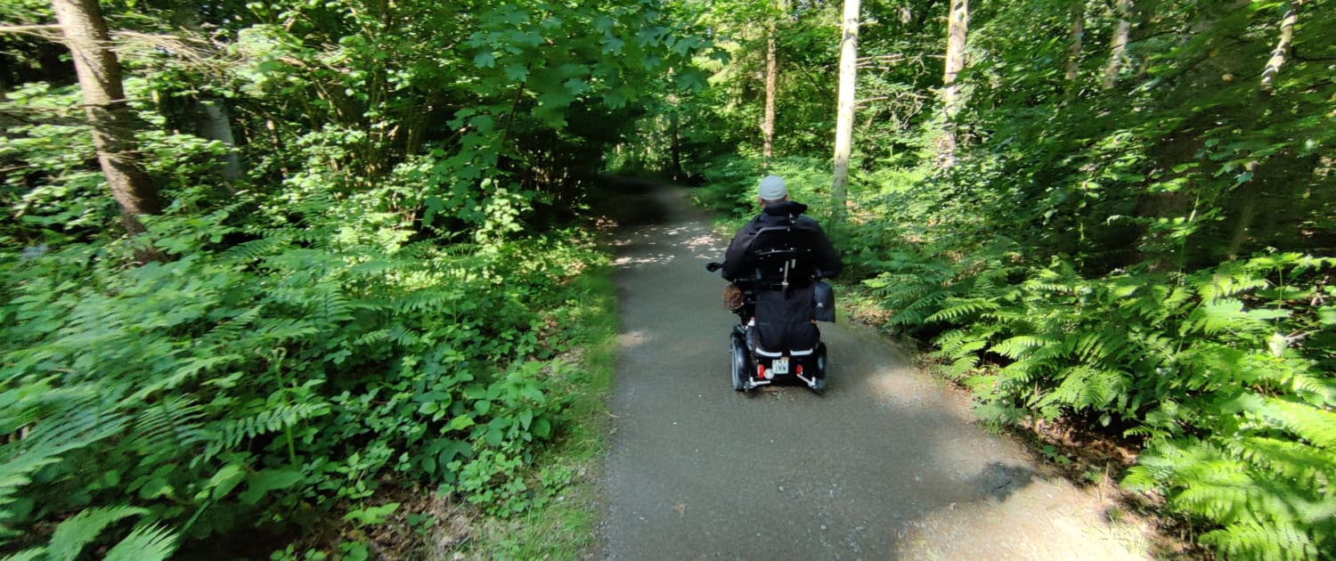 Fahrt durch den Wald zum Erlebnispfad